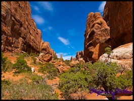 827 Fiery Furnance 15 827 Fiery Furnance 15