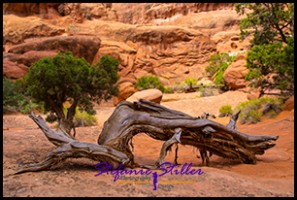 827 Fiery Furnance 21 827 Fiery Furnance 21