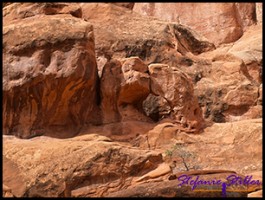 827 Love Arch 827 Love Arch