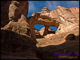 827 Skeleton Arch 827 Skeleton Arch