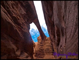 827 Surprise Arch 827 Surprise Arch