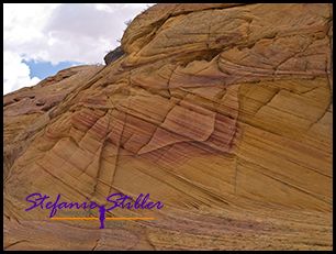 830 CBS 04 830 CBS 04