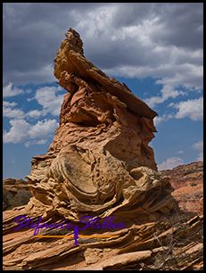 830 CBS 06 830 CBS 06