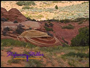 830 CBS 09 830 CBS 09