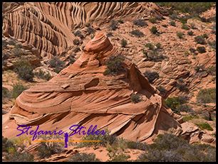 830 CBS 11 830 CBS 11