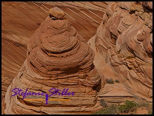 830 CBS 12 830 CBS 12