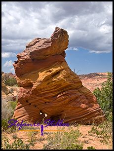 830 CBS 15 830 CBS 15