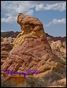 830 CBS 16 830 CBS 16