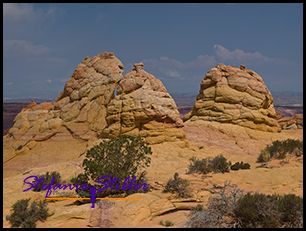 830 CBS 17 830 CBS 17