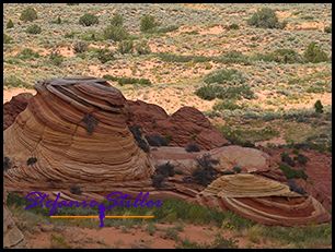 830 CBS 26 830 CBS 26