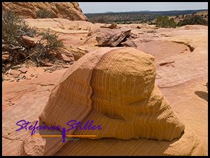 830 Half half 830 Half half