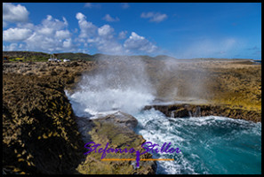 1228 BokaPistol 03 1228 BokaPistol 03