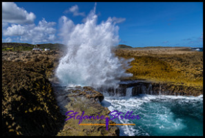 1228 BokaPistol 05 1228 BokaPistol 05