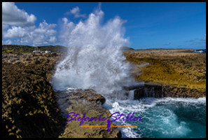 1228 BokaPistol 06 1228 BokaPistol 06