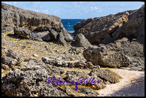 1228 SheteBokaNationalPark 1228 SheteBokaNationalPark