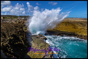 1228 BokaPistol 01 1228 BokaPistol 01