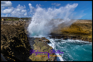 1228 BokaPistol 02 1228 BokaPistol 02