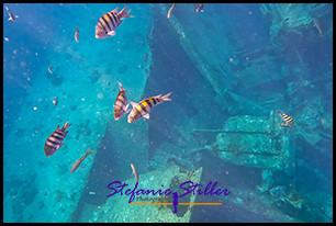 1229 Wreck 03 1229 Wreck 03