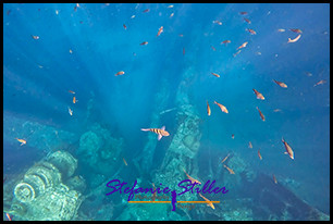 1229 Wreck 04 1229 Wreck 04