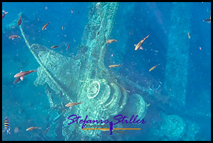 1229 Wreck 06 1229 Wreck 06