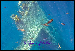 1229 Wreck 07 1229 Wreck 07