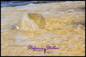 1231 LensBall 03 1231 LensBall 03