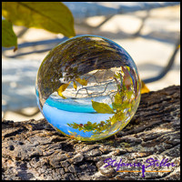 1231 LensBall Blaetter 02 1231 LensBall Blaetter 02