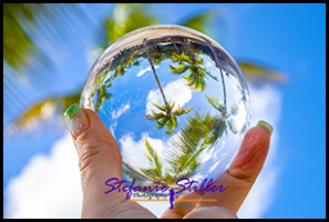 1231 LensBall Palme 02 1231 LensBall Palme 02