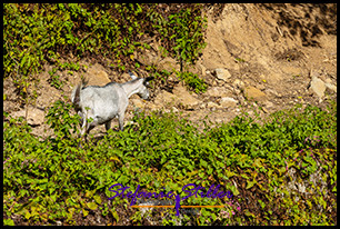 0103 EnglishHarbour 08 0103 EnglishHarbour 08