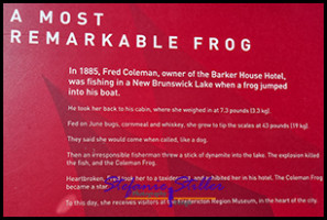 220806 Frog 01 220806 Frog 01