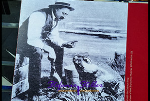 220806 Frog 02 220806 Frog 02