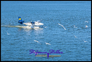 220806 HabourAir 220806 HabourAir