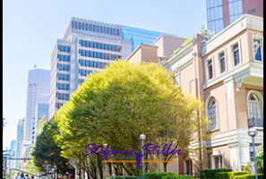 220806 Vancouver WelcomeCenter 01 220806 Vancouver WelcomeCenter 01