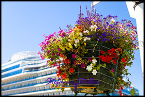 220806 Vancouver WelcomeCenter 07 220806 Vancouver WelcomeCenter 07