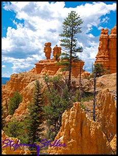 Red Canyon Red Canyon