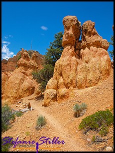 Trail im Red Canyon Trail im Red Canyon