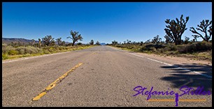 Morning Star Mine Road Morning Star Mine Road