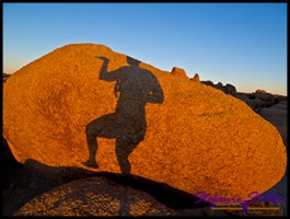 Ägytische Steinbilder Ägytische Steinbilder