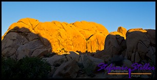 Nur noch wenige Schatten Nur noch wenige Schatten