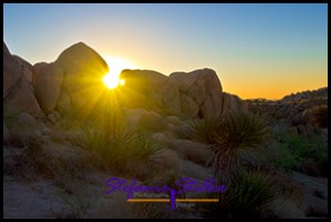 Sonnenstrahlen Sonnenstrahlen