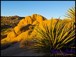 Der Tag ist da Der Tag ist da