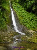 Wasserfall in der Lydford Klamm
