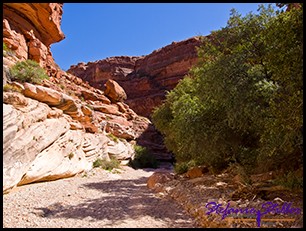 Nur noch wenig Schatten Nur noch wenig Schatten