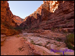 Noch liegt der Canyon im Schatten Noch liegt der Canyon im Schatten