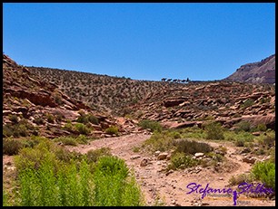Lastenpferde am Horizont Lastenpferde am Horizont