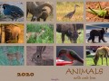 Kalender Animals - Titel