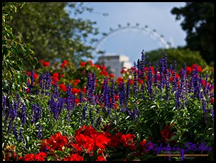 St. James Park St. James Park