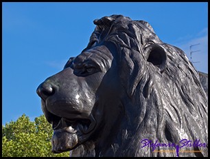 Löwenkopf am Brunnen  Löwenkopf am Brunnen