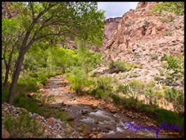 Bright Angel Creek Bright Angel Creek