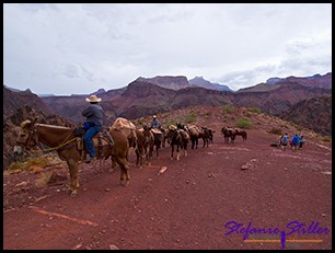 Abstieg über South Kaibab Trail Abstieg über South Kaibab Trail